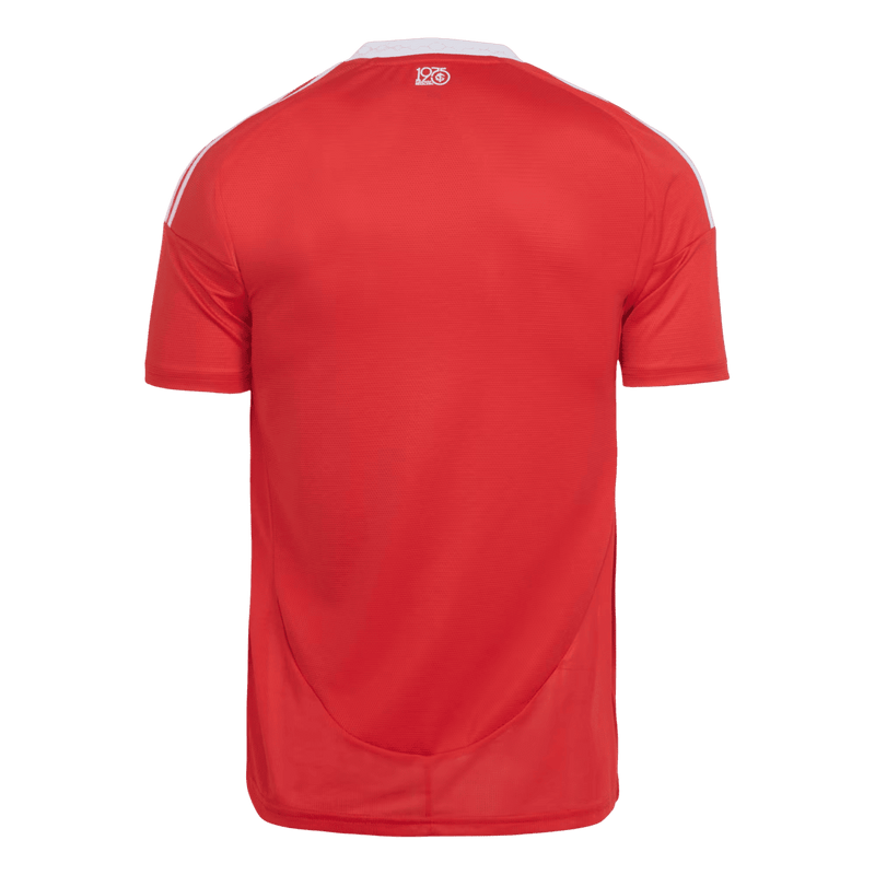 Camisa Internacional I 25/26